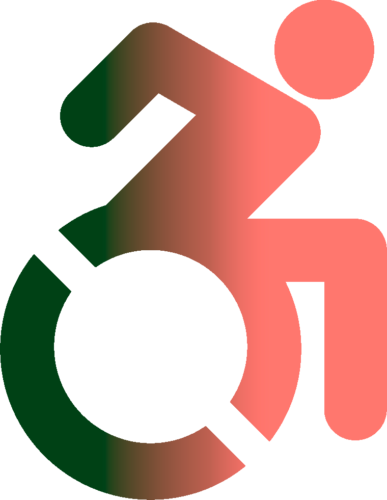 wheelchair-PMR2